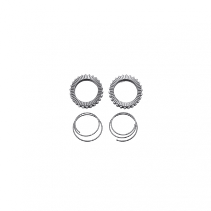 Fast Forward Ratchet/spring Kit 36t - S0080020000030 - Aerolux