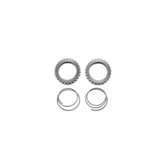 Fast Forward Ratchet/spring Kit 36t - S0080020000030 - Aerolux