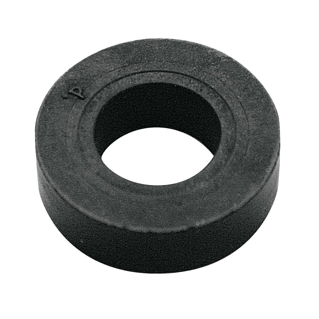 SKS Rubber Valve Washer For E.V.A. Head (3422 x10) - SKX11374 - Aerolux