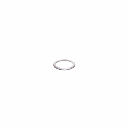 eeWings Crank Bolt Washer