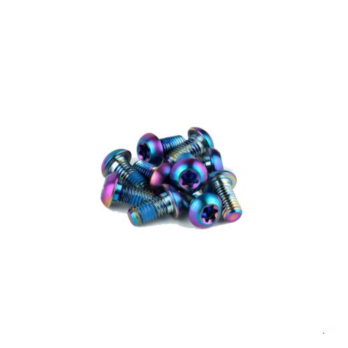 SRAM Rotor Bolt Kit - Titanium T25 Bolts (Qty 12): RAINBOW T25